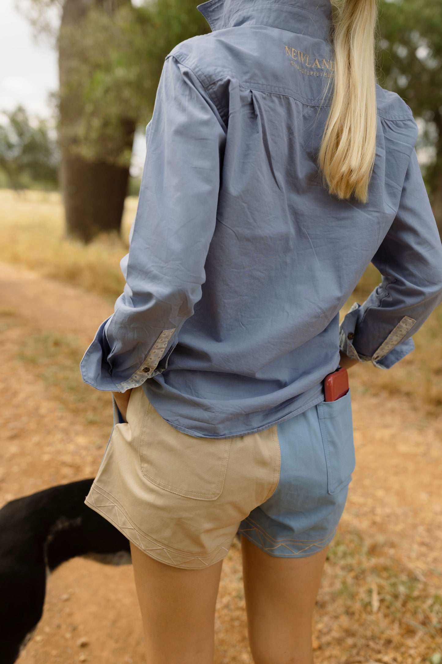 Women's Work Short - Blue & Beige