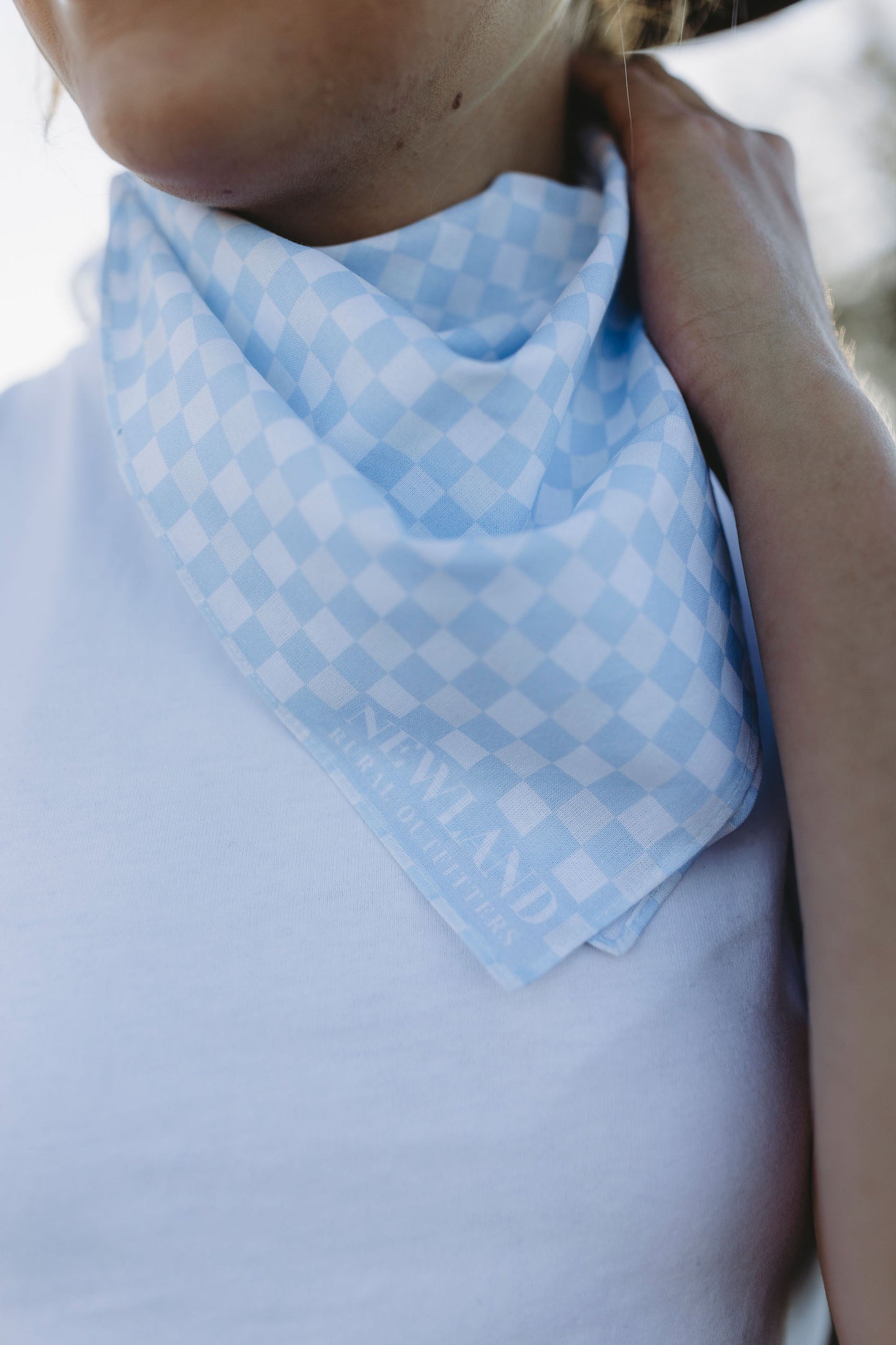 Blue Checkered Bandana