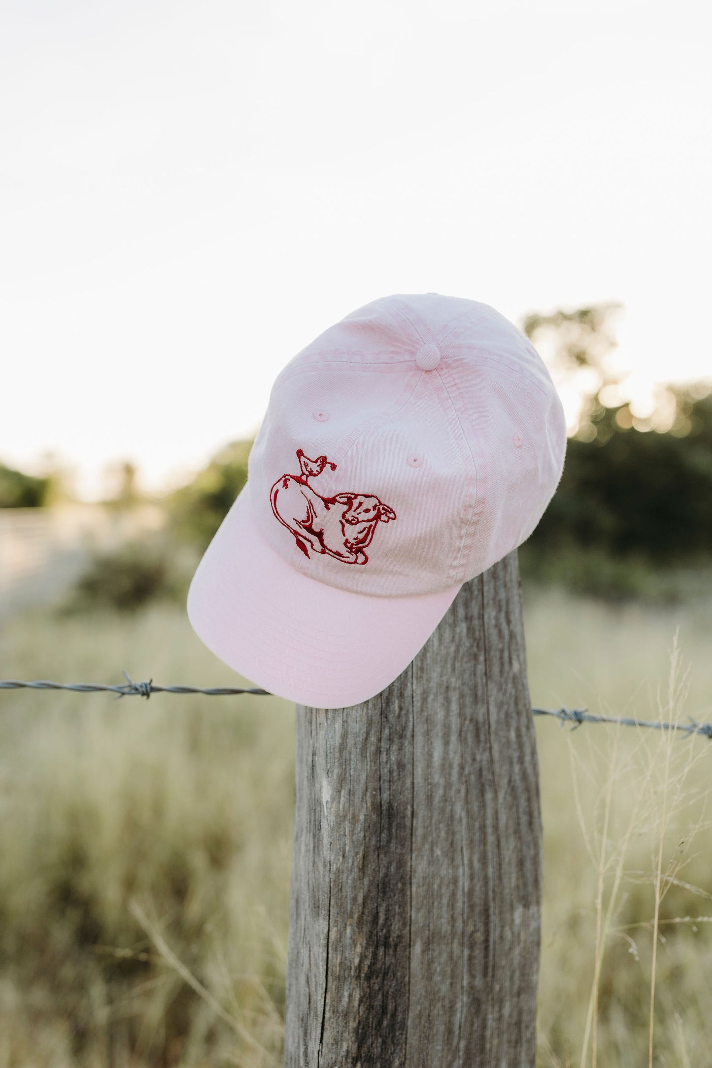 Farm Friends Cap
