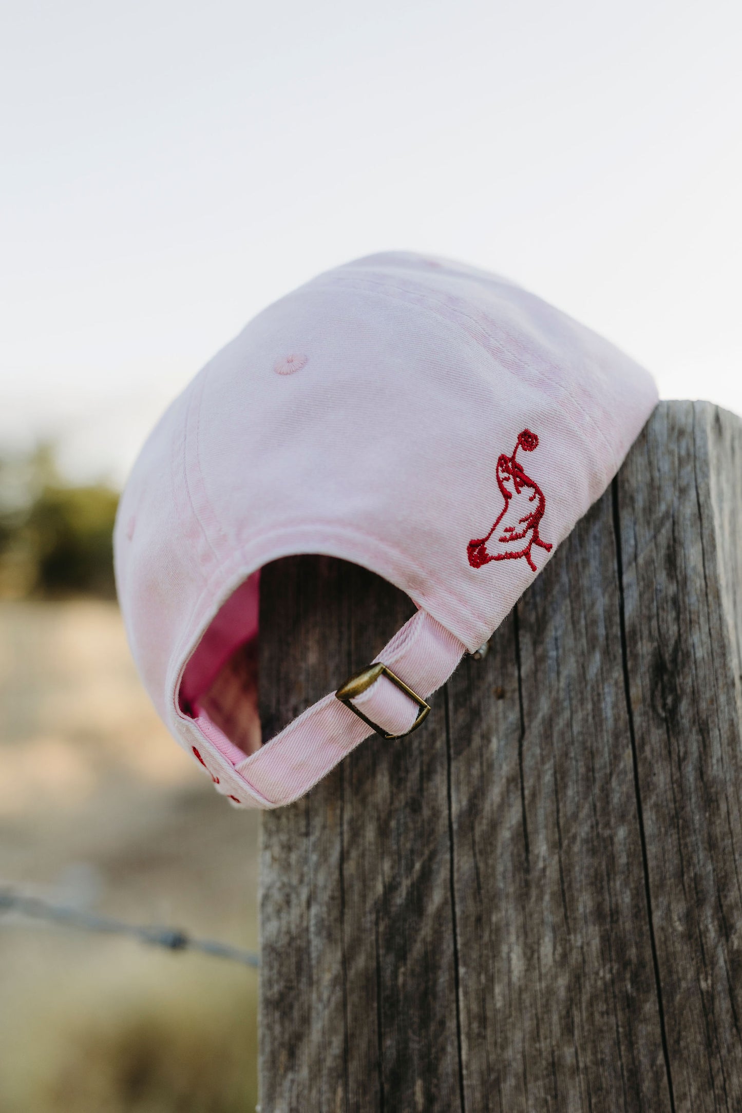 Farm Friends Cap