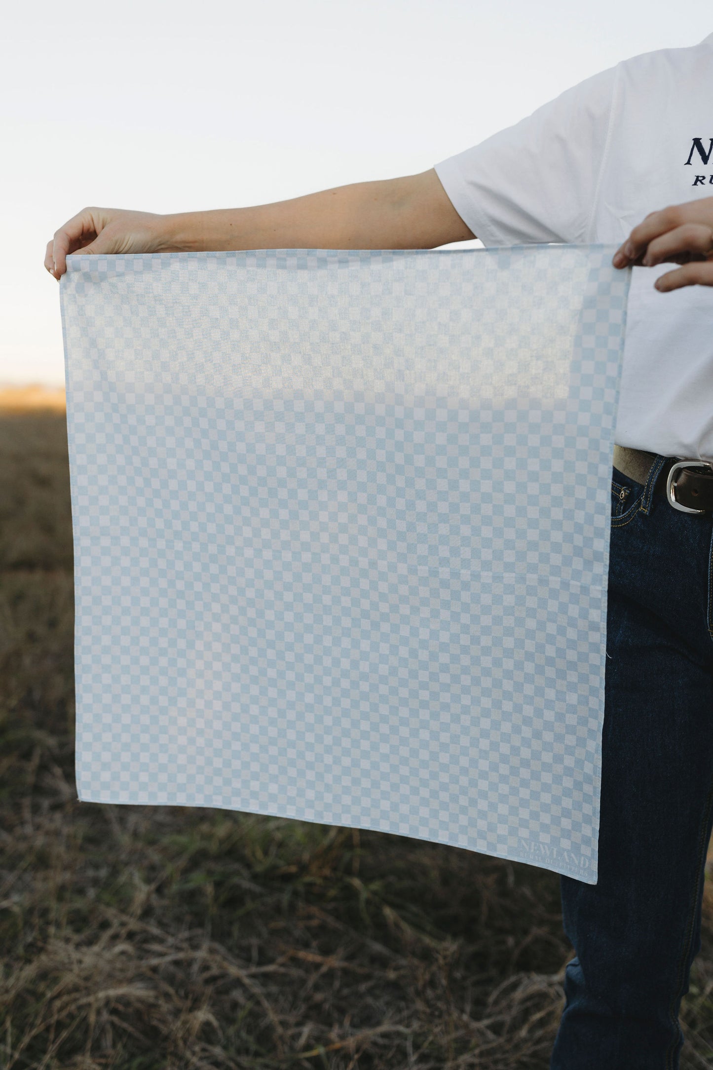 Blue Checkered Bandana