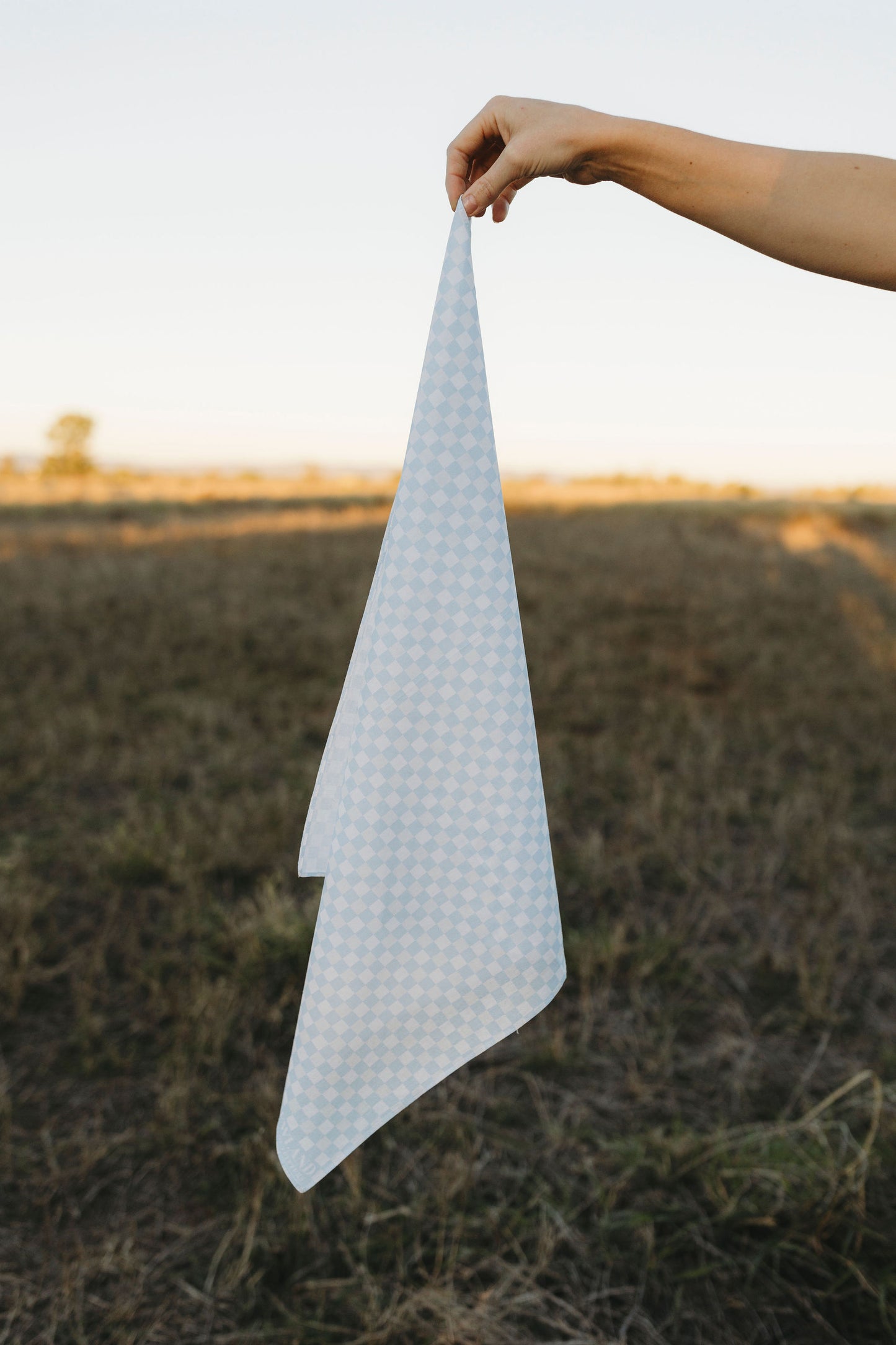 Blue Checkered Bandana