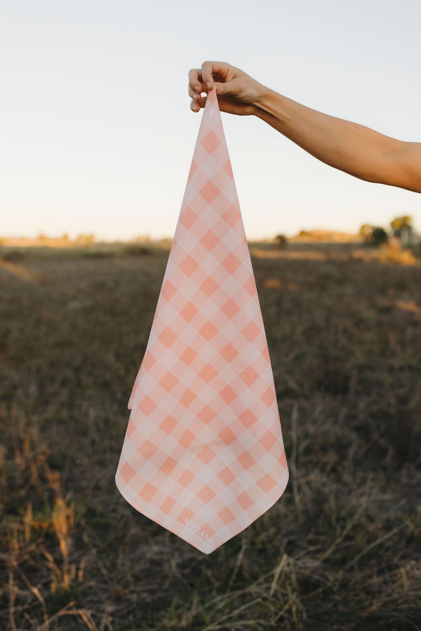 Pink Gingham Bandana